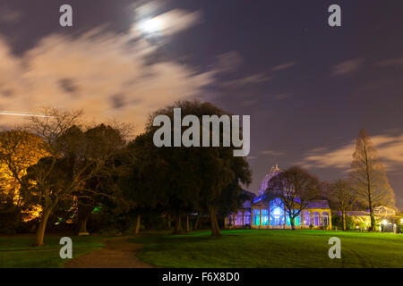 Brentford, Londres, Royaume-Uni. 20 Nov, 2015. La Forêt Enchantée retourne à Syon Park et chambre à Brentford le 20 novembre pour sa 10e année. Un sentier mène les visiteurs à travers le parc et autour de la rivière Serpentine de Capability Brown, se terminant à la 16e siècle de Syon House et la grande véranda avec effets de lumière, les arbres illuminés et des chiffres, et un show laser. Credit : Imageplotter/Alamy Live News Banque D'Images