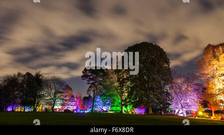 Brentford, Londres, Royaume-Uni. 20 Nov, 2015. La Forêt Enchantée retourne à Syon Park et chambre à Brentford le 20 novembre pour sa 10e année. Un sentier mène les visiteurs à travers le parc et autour de la rivière Serpentine de Capability Brown, se terminant à la 16e siècle de Syon House et la grande véranda avec effets de lumière, les arbres illuminés et des chiffres, et un show laser. Credit : Imageplotter/Alamy Live News Banque D'Images