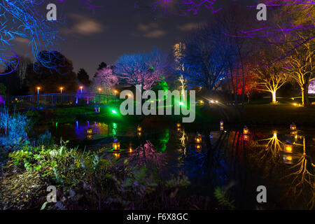 Brentford, Londres, Royaume-Uni. 20 Nov, 2015. La Forêt Enchantée retourne à Syon Park et chambre à Brentford le 20 novembre pour sa 10e année. Un sentier mène les visiteurs à travers le parc et autour de la rivière Serpentine de Capability Brown, se terminant à la 16e siècle de Syon House et la grande véranda avec effets de lumière, les arbres illuminés et des chiffres, et un show laser. Credit : Imageplotter/Alamy Live News Banque D'Images