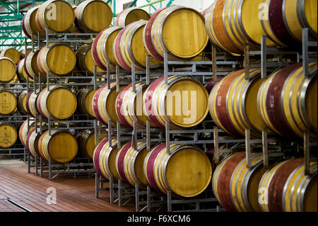 Des tonneaux de vin dans un vignoble, Stellenbosch, Western Cape, Afrique du Sud Banque D'Images