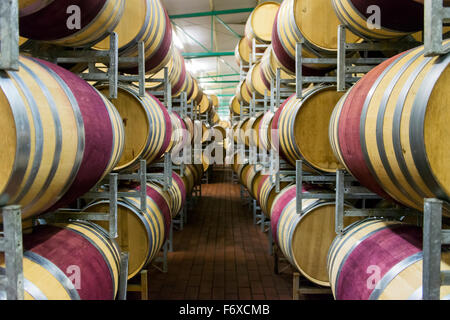 Des tonneaux de vin dans un vignoble, Stellenbosch, Western Cape, Afrique du Sud Banque D'Images