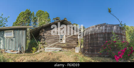 Old Settler's Cabin of Solid Koa Logs avec Bougainvillea près du réservoir d'eau de captage de séquoias et sauna dans le parc national de Keanakolu le long de la route de Mana près de M... Banque D'Images