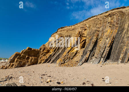 Le caractère distinctif et pliée verticale des strates de grès à Bude Widemouth Bay, Cornwall, England, UK Banque D'Images