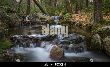 Les images d'automne de Minnewaska State Park NY Banque D'Images