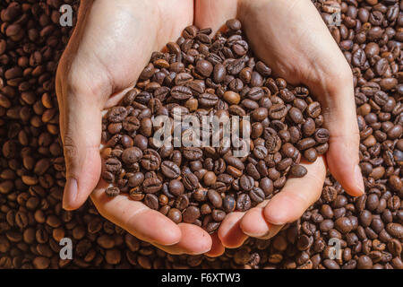 Poignée de grains de café Roasted Brown attente en creux des mains. Café en grains comme fond uniforme. Banque D'Images
