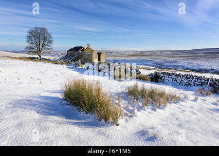 Edmundbyers commun, Co Durham, Royaume-Uni. 21 Nov, 2015. Matinée du 21 novembre 2015 et la Première neige de l'hiver à Sandyford sur Edmundbyers commune dans le comté de Durham. Credit : Clearview/Alamy Live News Banque D'Images