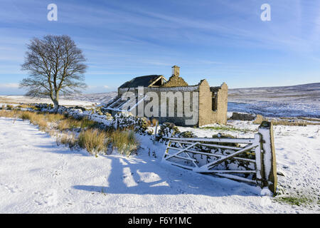 Edmundbyers commun, Co Durham, Royaume-Uni. 21 Nov, 2015. Matinée du 21 novembre 2015 et la Première neige de l'hiver à Sandyford sur Edmundbyers commune dans le comté de Durham. Credit : Clearview/Alamy Live News Banque D'Images