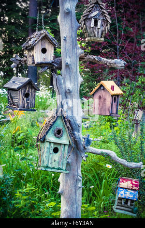 Un assortiment de différentes cabanes à suspendre à un arbre dans un jardin. Banque D'Images