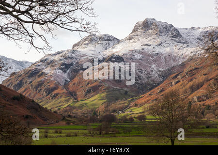 Elterwater, UK. 21 novembre, 2015. La première couche de neige sur les sommets de Harrison Stickle (736m) et le Langdale Pikes vus de Elterwater dans le soleil du soir, le samedi après-midi. Credit : Andy Ward/Alamy Live News Banque D'Images