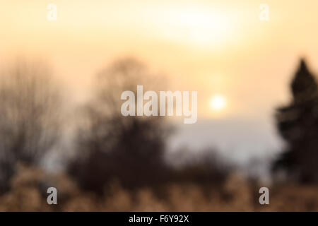 Avec un arrière-plan automne coucher du soleil dans des couleurs chaudes. Banque D'Images