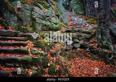 Escalier en pierre qui monte sur le versant de montagne couverte de feuilles tombées en automne Banque D'Images