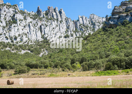 Décor naturel près de Pesquera de Ebro, Burgos, Espagne Banque D'Images