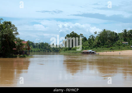 Par la Jungle Rivière Tahan Parc national de Taman Negara, Malaisie, en Asie du sud-est Banque D'Images