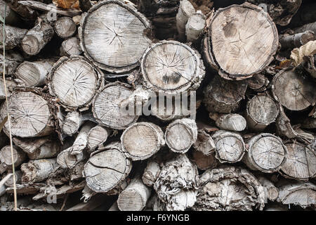 Mur en bois de sciage pourris haché Banque D'Images