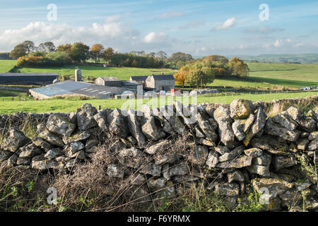 Mur de pierres sèches, ferme et à la campagne dans Parc national de Peak District, Derbyshire, Angleterre, Royaume-Uni Banque D'Images