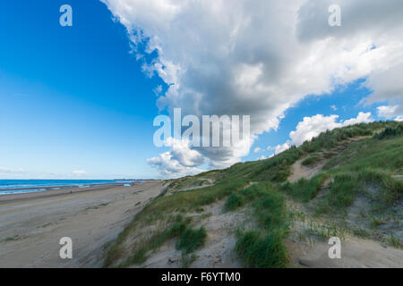 La zone de dunes Kennemer est la plus grande zone de dunes aux Pays-Bas et est utilisée en partie pour la collecte de l'eau Banque D'Images