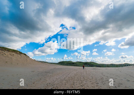 La zone de dunes Kennemer est la plus grande zone de dunes aux Pays-Bas et est utilisée en partie pour la collecte de l'eau Banque D'Images