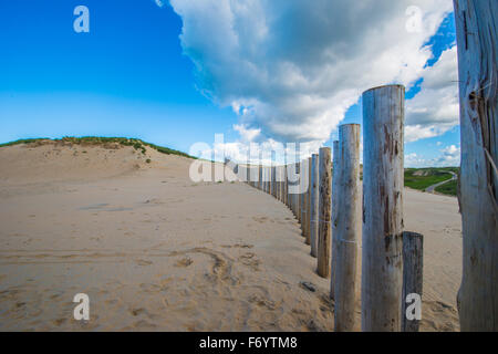 La zone de dunes Kennemer est la plus grande zone de dunes aux Pays-Bas et est utilisée en partie pour la collecte de l'eau Banque D'Images