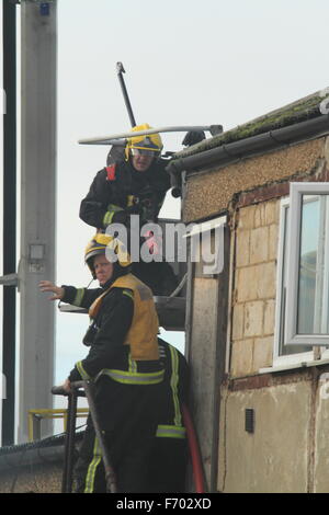 Londres, Royaume-Uni. 22 novembre 2015. London Fire Brigade ont été appelés à un feu dans un entrepôt désaffecté. Huit camions de pompiers ont été envoyés à l'incendie à environ 11 h 45 le dimanche matin. Il n'y a pas eu de victimes, dix personnes ont quitté le bloc d'appartements avant l'arrivée des pompiers qu'un incendie sur la propriété résidentielle, causant d'importants dommages au toit et au premier étage d''une télévision. La cause de l'incendie est en cours d'investigation. Credit : Hot Shots/Alamy Live News Banque D'Images