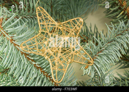 Décoration de Noël en forme d'étoile sur une branche d'arbre de Noël de sapin Banque D'Images