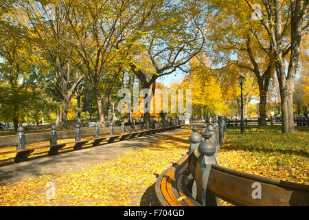 Central Park à New York le jour de l'automne coloré Banque D'Images