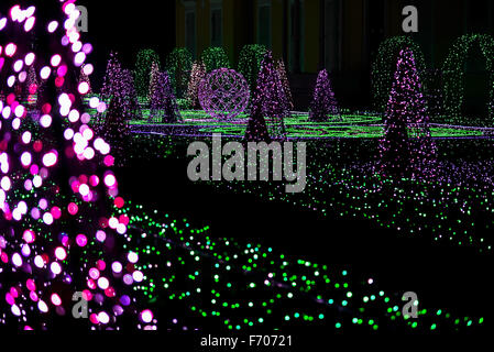 Jardin de lumières colorées avec des sculptures d'arbres de Noël Violet Banque D'Images