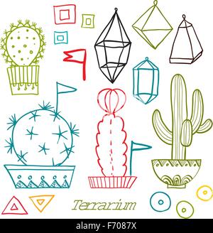 Cactées et plantes grasses en pots. Illustration de Vecteur