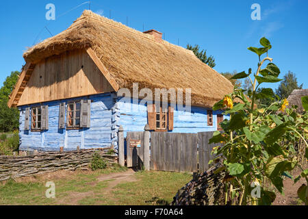 Le Musée de la campagne de Mazovie à Sierpc, Pologne. Vieille ferme paysanne en bois avec toit de chaume. Banque D'Images