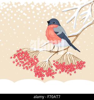 Cute sur la branche de Bouvreuil rowan Illustration de Vecteur