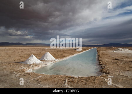 Photographie de la saline Salinas Grandes, dans le nord-ouest de l'Argentine. Banque D'Images