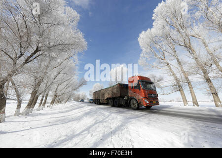 Hami, la Région Autonome Uygur du Xinjiang. 22 Nov, 2015. Véhicules roulent sur la route couverte de neige dans la région de Hami, nord-ouest de la Chine, la Région autonome du Xinjiang Uygur, Novembre 22, 2015. © Polat/Xinhua/Alamy Live News Banque D'Images