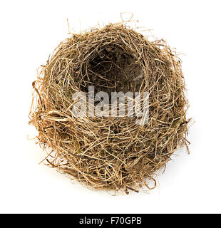 Vide Original Bird's Nest close-up isolé sur un fond blanc. Banque D'Images