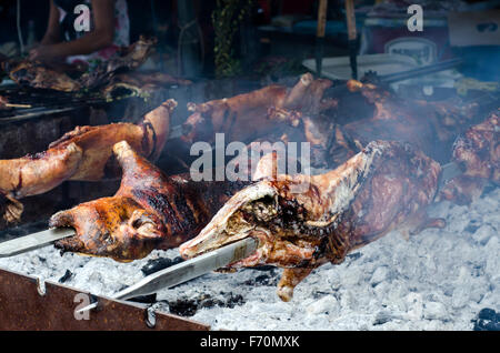 La nourriture typique de la Sardaigne. La cuisson au rôti de porcelets barbecue dans un festival communautaire typique de la Sardaigne. Aritzo Autunno en Barbagia Banque D'Images