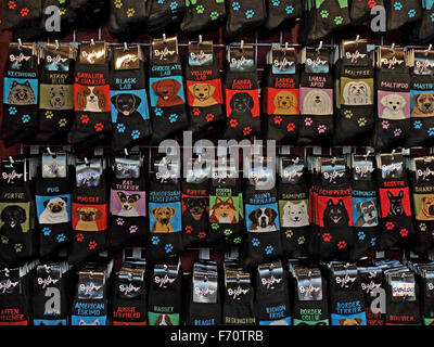 Chaussettes avec des photos de différentes races de chiens à vendre au marché du cadeau de Union Square à New York. Banque D'Images