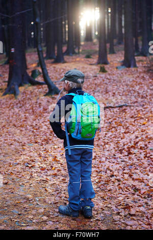 Portrait d'un garçon à l'extérieur de marche dans une forêt - se promener le long du chemin de la forêt d'automne Banque D'Images