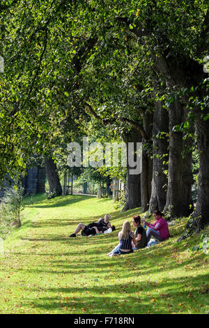 Les gens se détendre dans Preston's Avenham Park sur une après-midi d'été par la rivière Ribble Banque D'Images