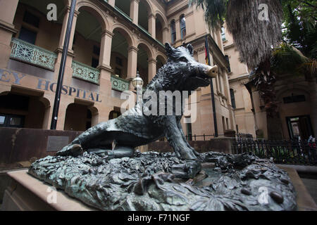 L'hôpital de Sydney statue cochon Porcellino Banque D'Images