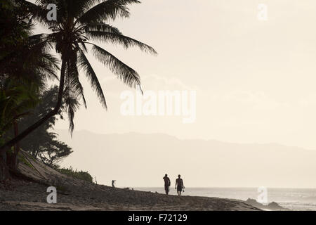 Silhouette de palmiers avec deux surfeurs de marcher le long de la plage après un surf Banque D'Images