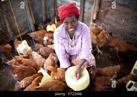 Une kényane agriculteur rss ses poules le 5 avril 2012 à proximité du lac Victoria, au Kenya. Banque D'Images