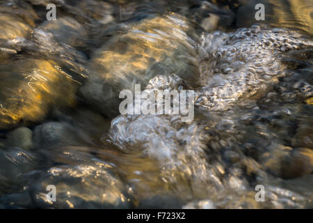 Close up of clair ruisseau coule plus de cailloux. Banque D'Images