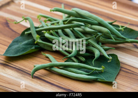 Haricots verts biologiques fraîchement cueillis placé sur une table en bois Banque D'Images