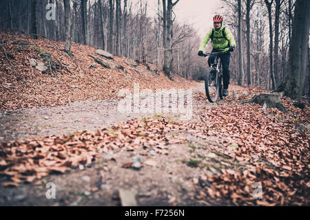 Le sentier de vélo de montagne Vélo de bois. Montagne en hiver ou en automne paysage forêt. Vélo homme VTT sur les routes de campagne. Banque D'Images