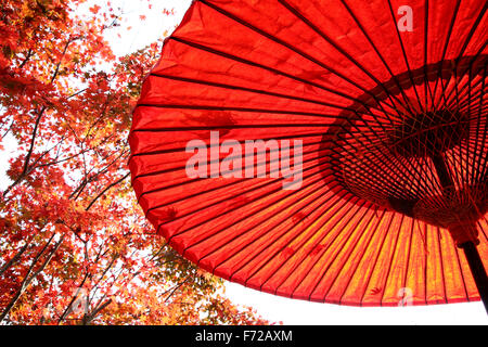 Parapluie rouge traditionnel japonais avec les feuilles d'automne Banque D'Images