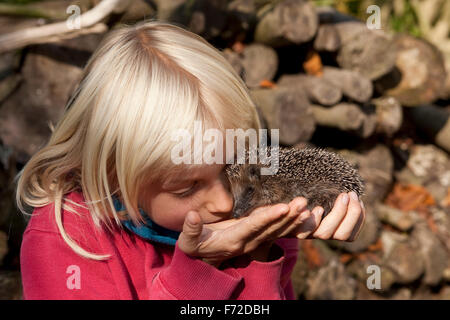 Western hérisson, garçon, enfant, Junge, genre mit Erinaceus europaeus, Igel, Westigel Braunbrustigel, hérisson, Banque D'Images