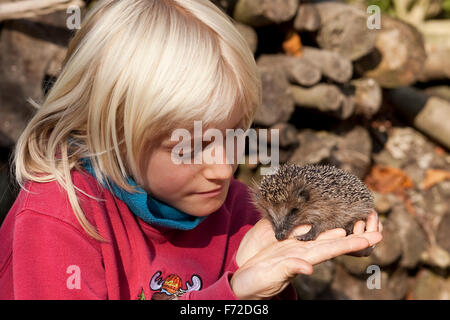 Western hérisson, garçon, enfant, Junge, genre mit Erinaceus europaeus, Igel, Westigel Braunbrustigel, hérisson, Banque D'Images