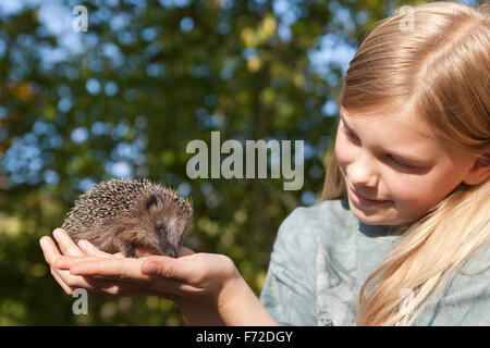 Western hérisson, fille, enfant, Mädchen mit, genre Erinaceus europaeus, Igel, Westigel Braunbrustigel, hérisson, Banque D'Images