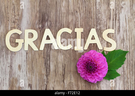 Gracias (ce qui signifie merci en espagnol) écrit avec des lettres en bois et rose fleur dahlia Banque D'Images