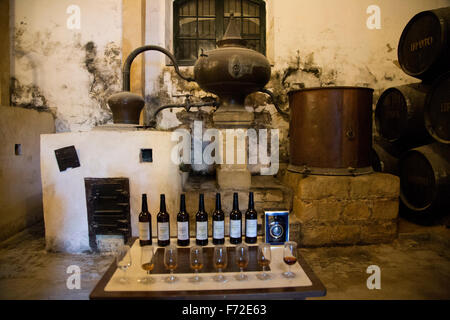 San Bruno brandy marque la production de cognac en bodega, Gonzalez Byass Jerez de la Frontera, province de Cadiz, Espagne Banque D'Images