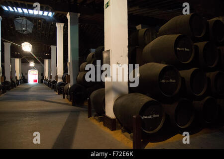 Barriques de vin de Xérès de maturation en cave, Bodega, Gonzalez Byass Jerez de la Frontera, province de Cadiz, Espagne Banque D'Images