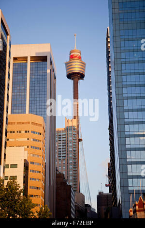 Sydney Tower, Sydney Tower Eye, AMP Tower, Flower Tower, Glower Tower, Tour Westfield Centerpoint, tour Westfield, Sydney, Nouvelle-Galles du Sud, Australie Banque D'Images